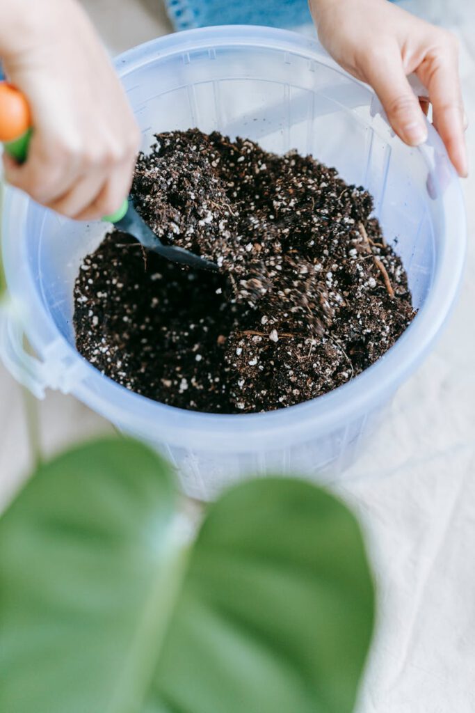 woman preparing soil for planting houseplant